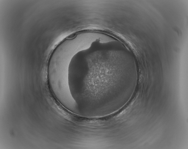 X0000110891367200907021509