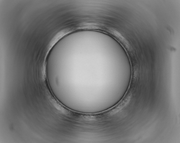 X0000110891370200907021509