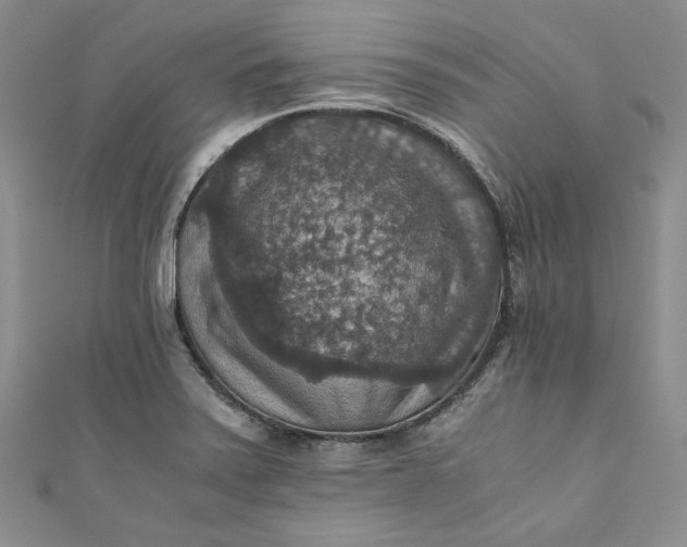 X0000110891371200907021509