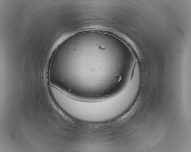 X0000110891373200907021509