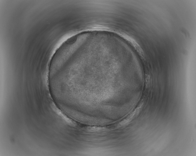 X0000110891374200907021509