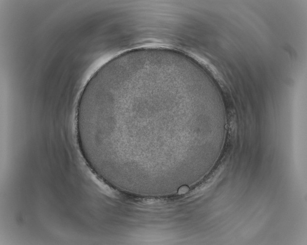 X0000110891375200907021509