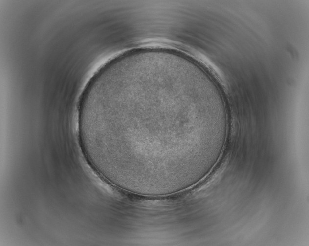 X0000110891376200907021509