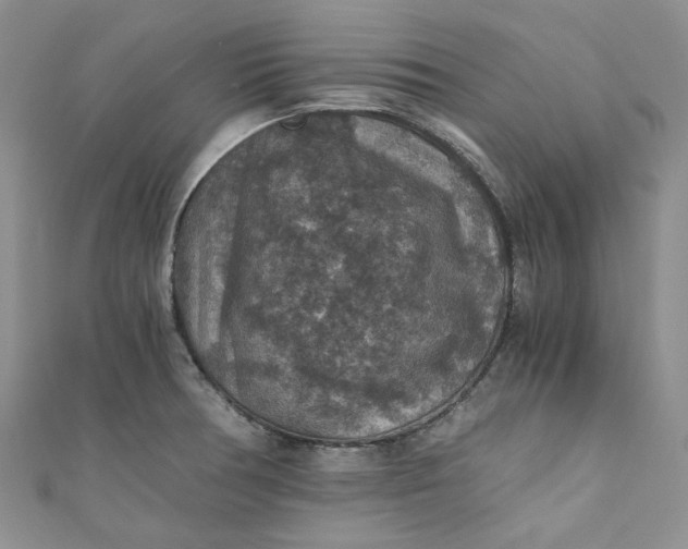 X0000110891378200907021509