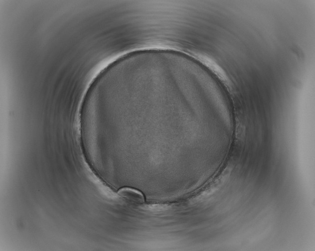 X0000110891380200907021509