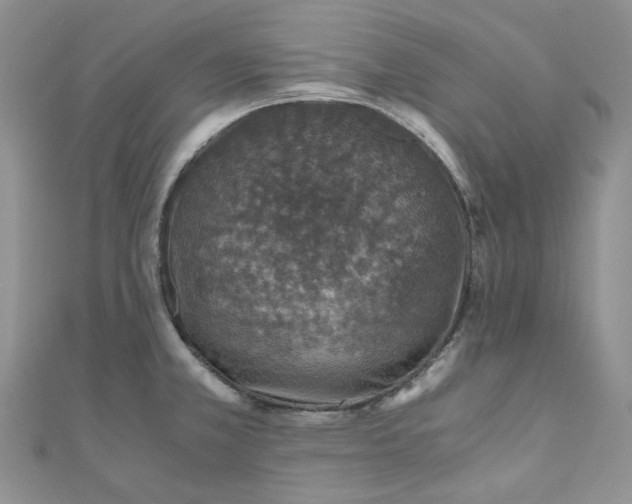 X0000110891381200907021508