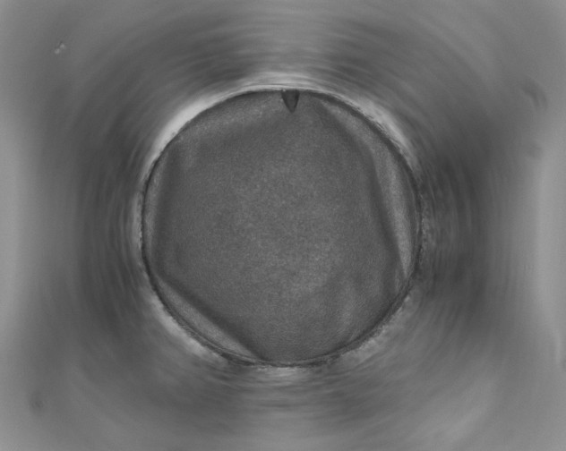 X0000110891382200907021508