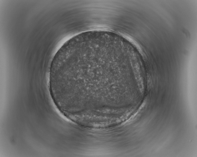 X0000110891383200907021508