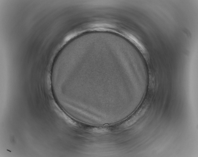 X0000110891384200907021508