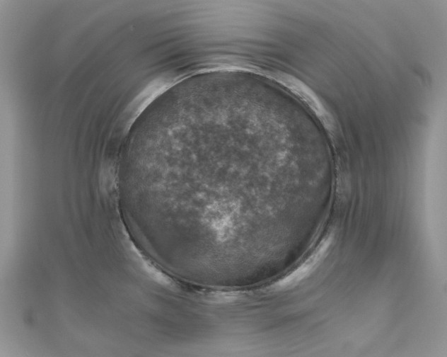 X0000110891385200907021508