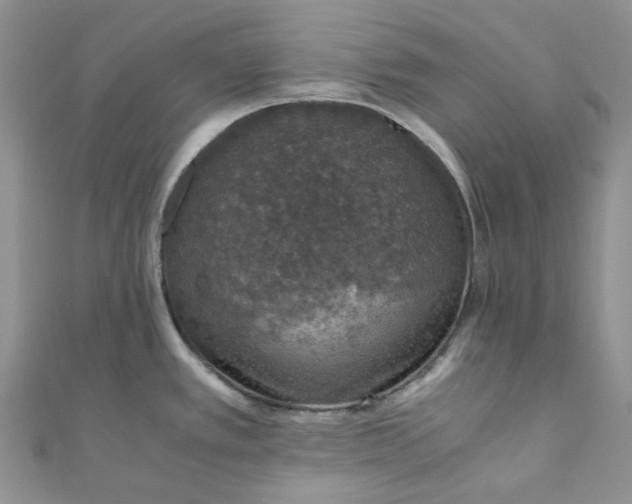 X0000110891389200907021508