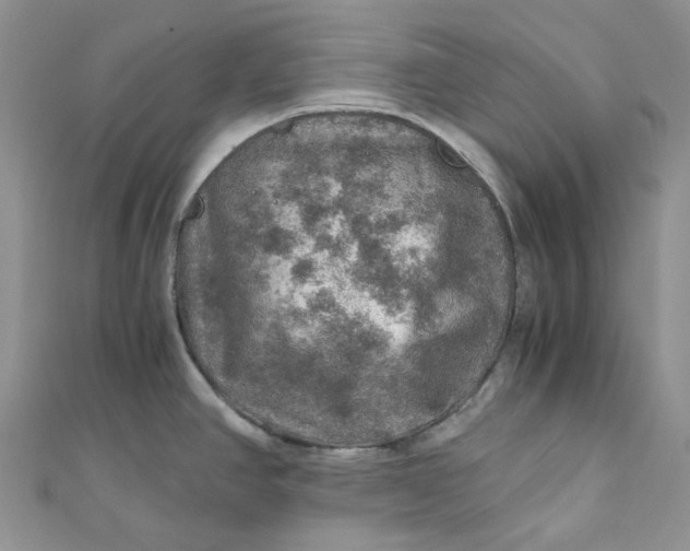 X0000110891390200907021508
