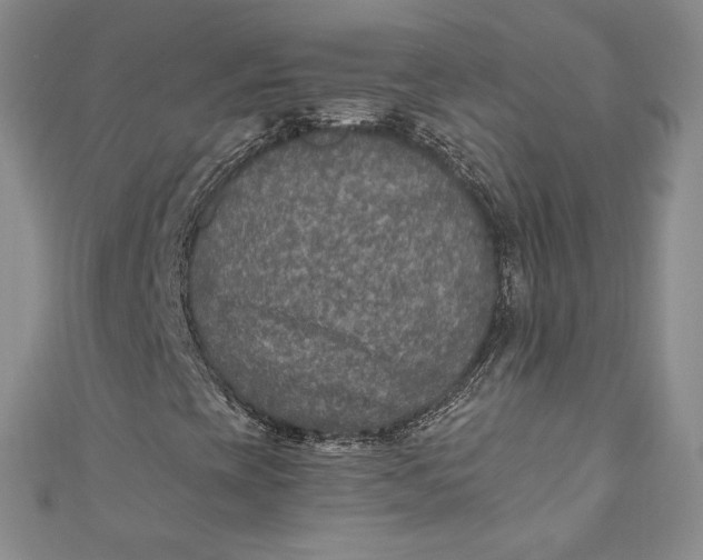 X0000110891393200907021508