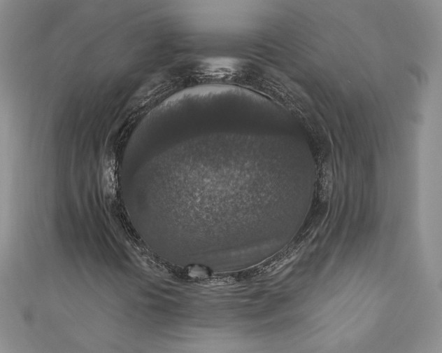 X0000110891394200907021508