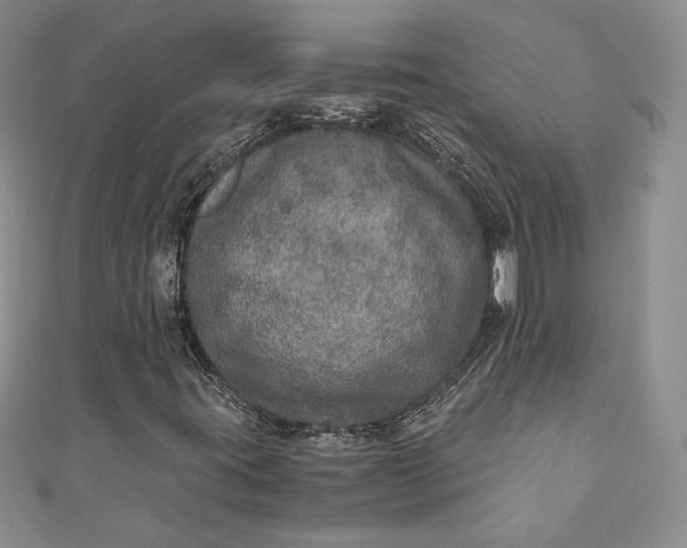 X0000110891395200907021508