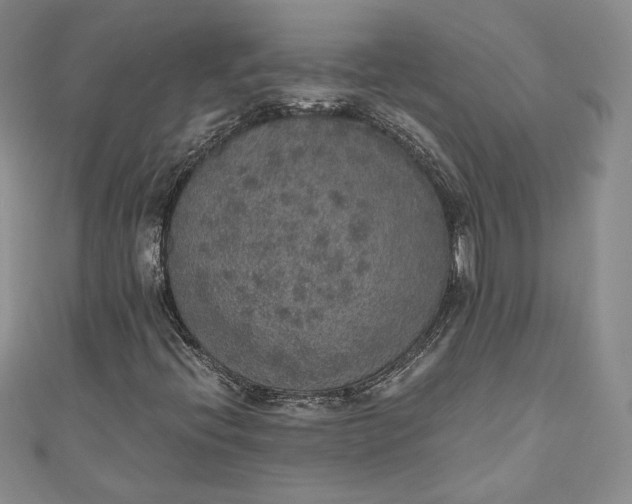 X0000110891396200907021508