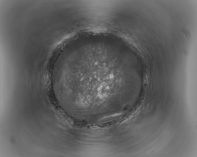 X0000110891398200907021508