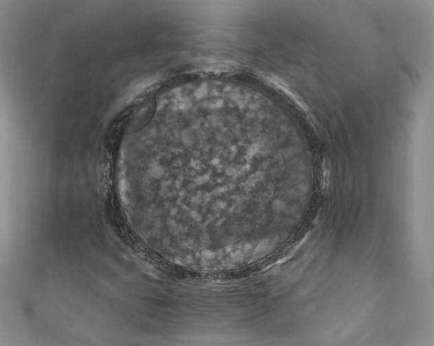 X0000110891399200907021508