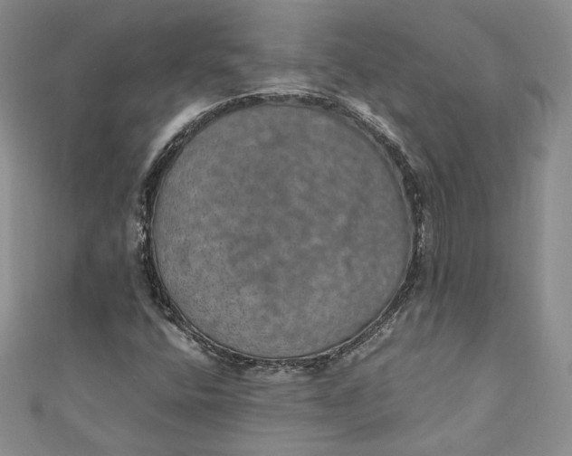 X0000110891400200907021508