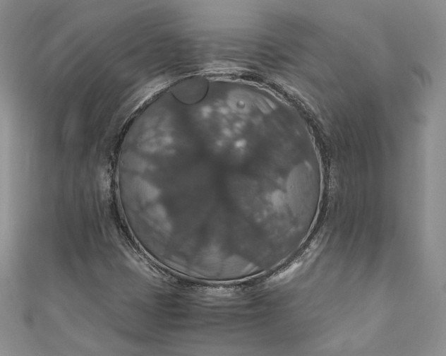 X0000110891401200907021508