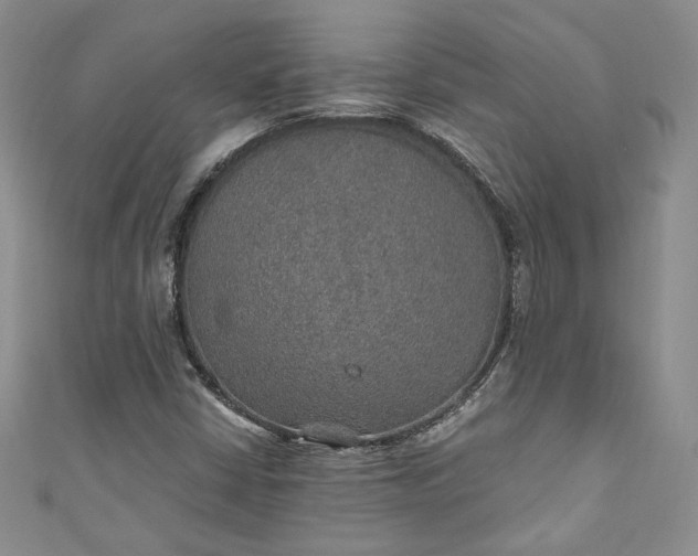 X0000110891402200907021508