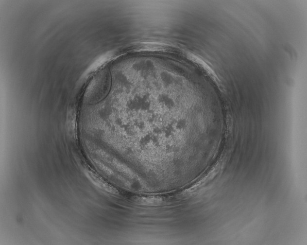 X0000110891403200907021508