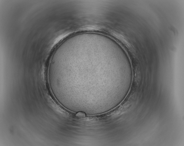 X0000110891404200907021508