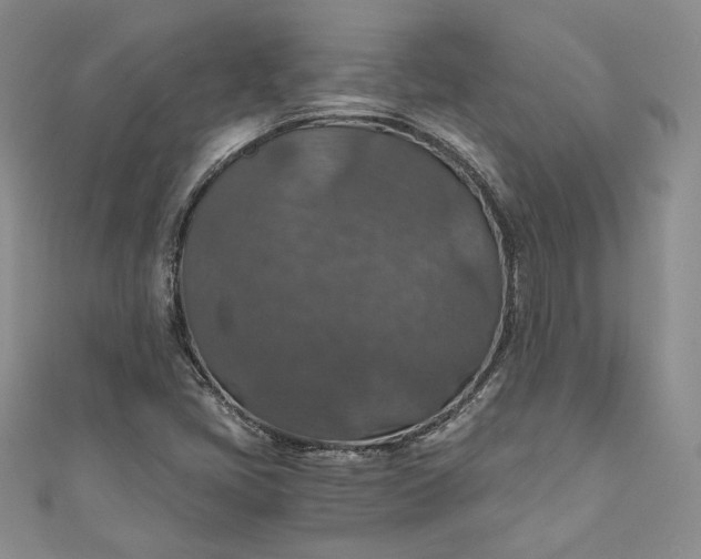 X0000110891405200907021508