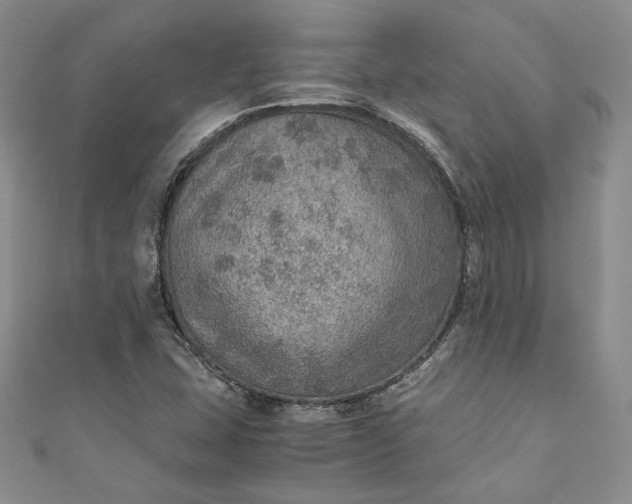 X0000110891407200907021508