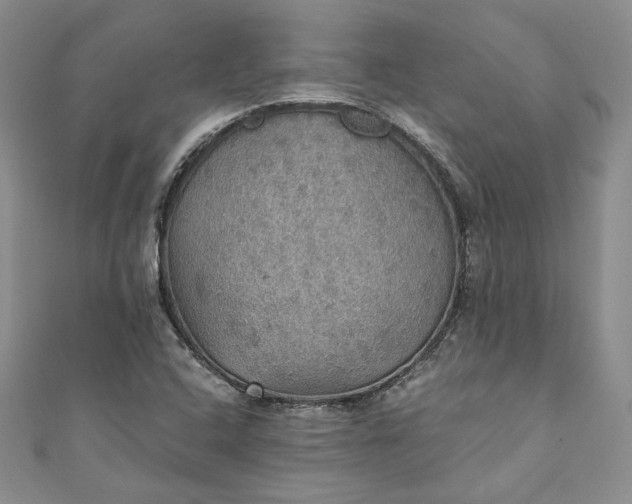 X0000110891408200907021508