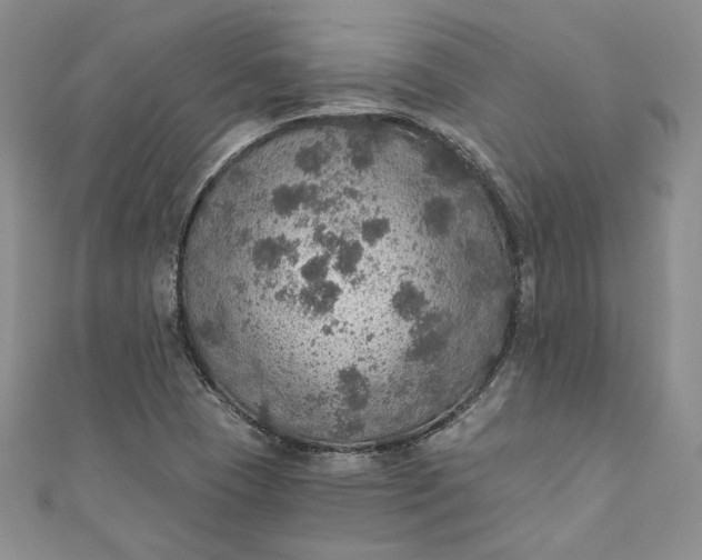 X0000110891409200907021508