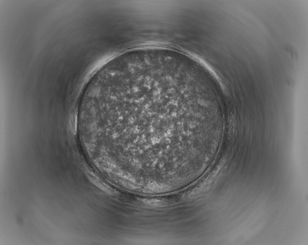 X0000110891413200907021508
