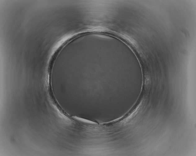 X0000110891414200907021508