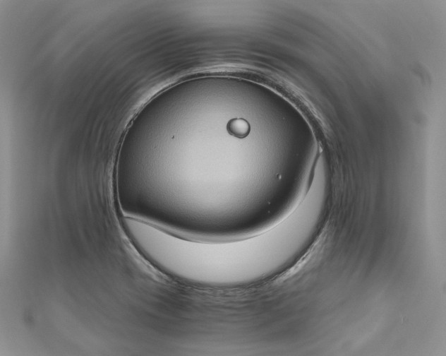 X0000110891417200907021508