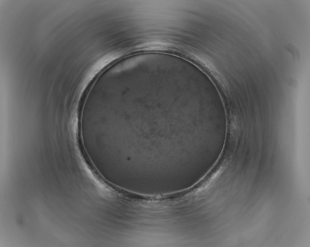 X0000110891418200907021508