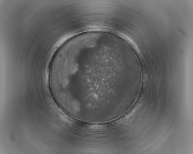 X0000110891419200907021508