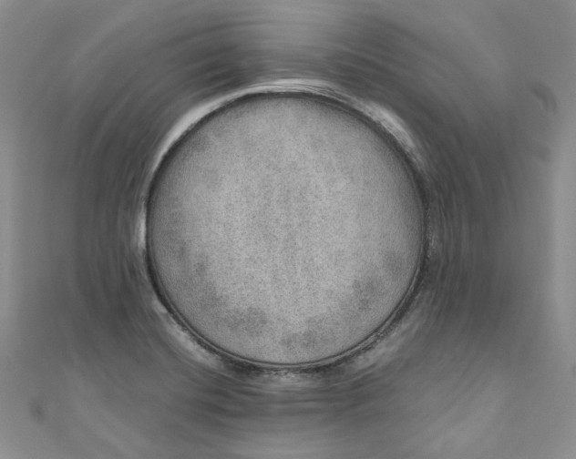 X0000110891420200907021508