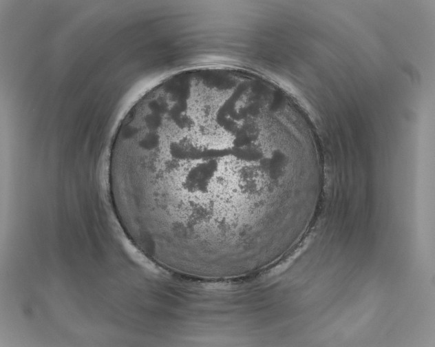 X0000110891421200907021508