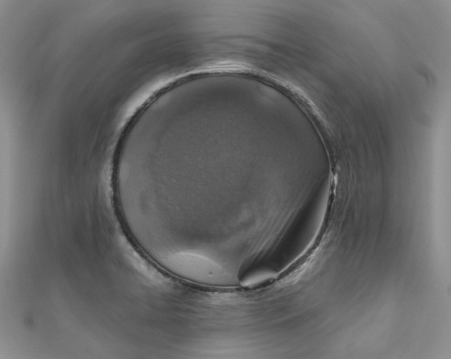 X0000110891422200907021508