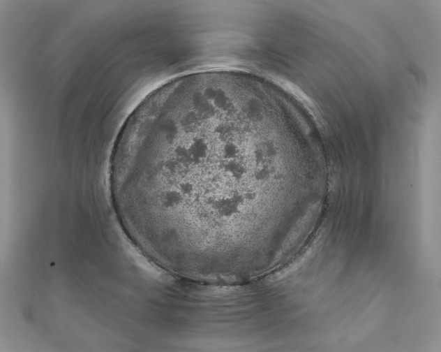 X0000110891423200907021508
