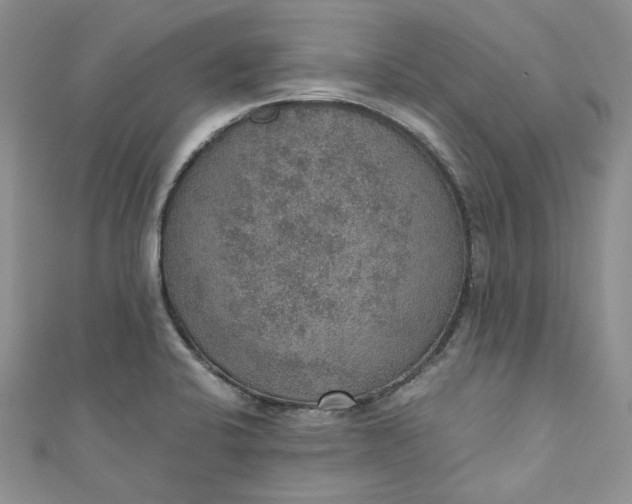 X0000110891424200907021508