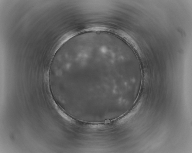 X0000110891425200907021508