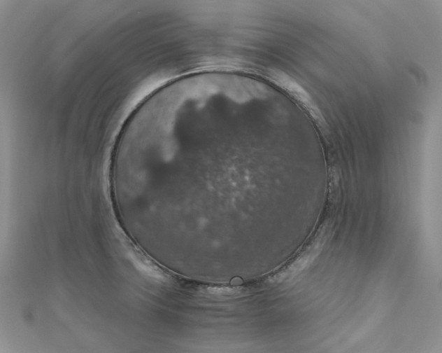 X0000110891427200907021508