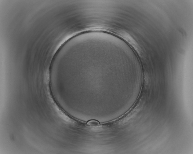 X0000110891428200907021508