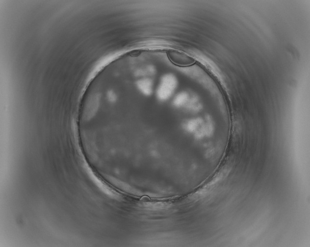 X0000110891429200907021508