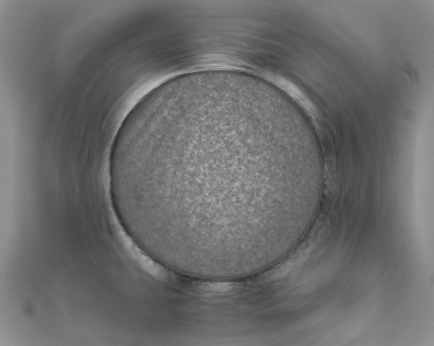 X0000110891431200907021508
