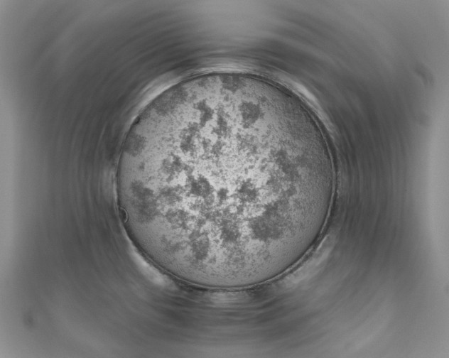 X0000110891433200907021508