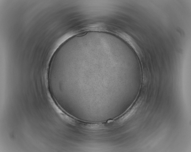 X0000110891434200907021508