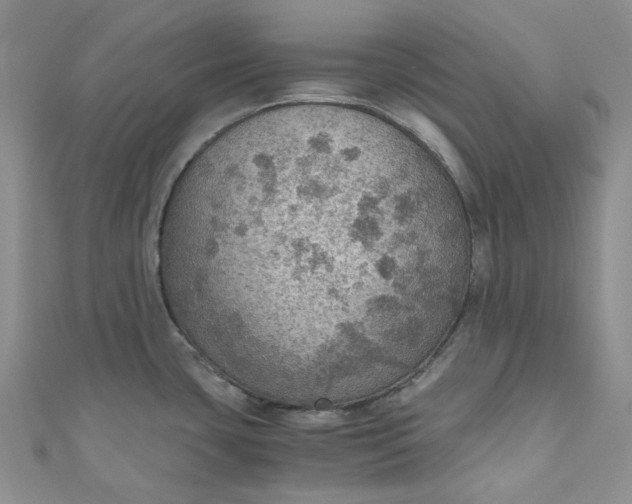 X0000110891435200907021508