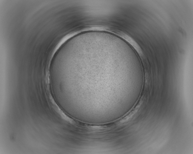 X0000110891436200907021508